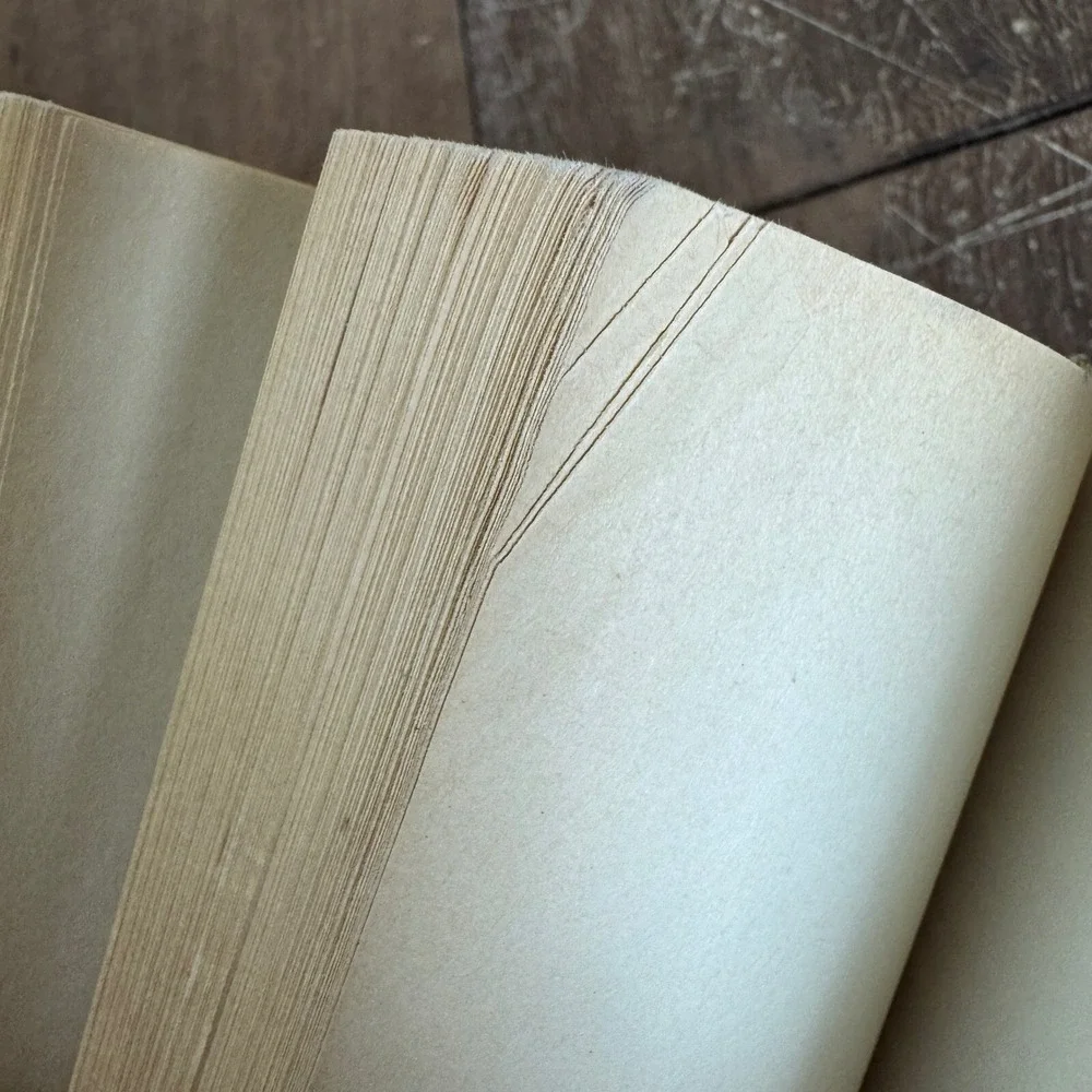 Left Behind Novel A Novel of Earth's Last Days Tim LaHaye Jerry Jenkins‎